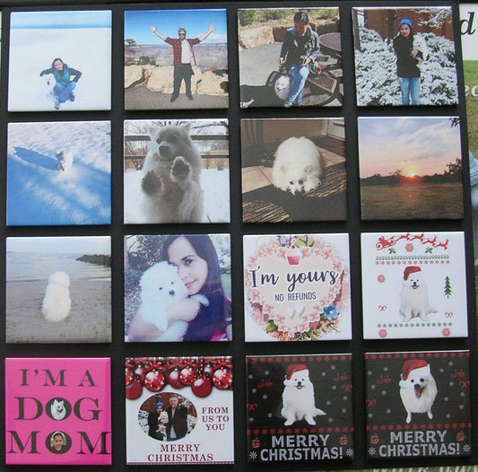 Customized Photo Magnets
