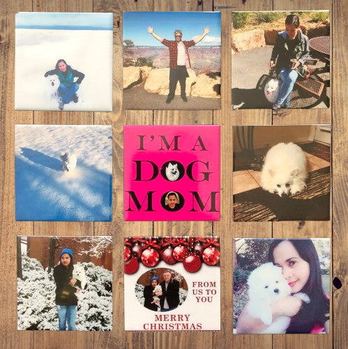 9 Photo Magnets