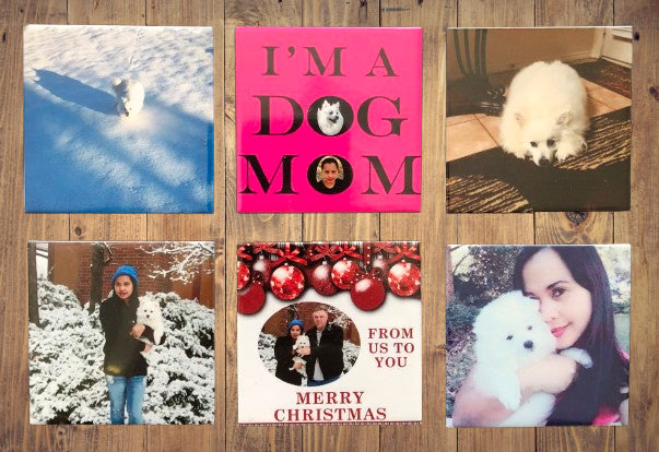 6 Photo Magnets